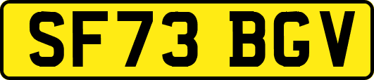 SF73BGV