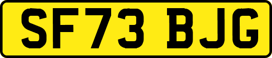 SF73BJG
