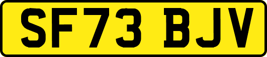 SF73BJV