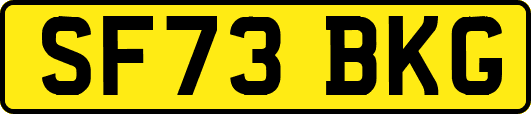SF73BKG