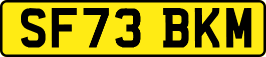 SF73BKM