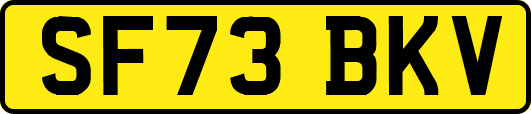 SF73BKV