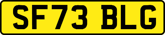 SF73BLG