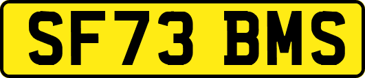 SF73BMS