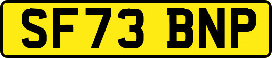 SF73BNP