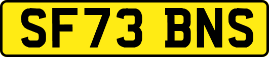 SF73BNS