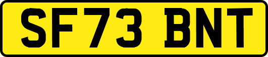 SF73BNT