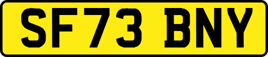 SF73BNY