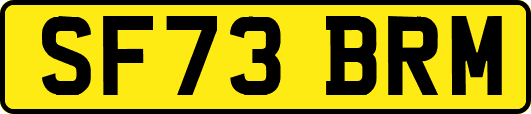 SF73BRM