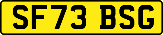 SF73BSG
