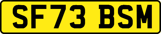 SF73BSM