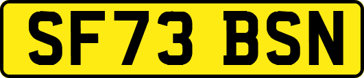 SF73BSN