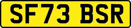 SF73BSR