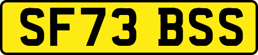 SF73BSS