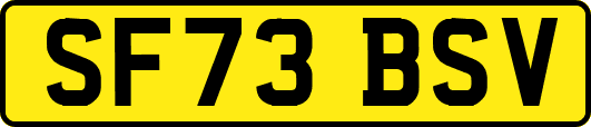 SF73BSV