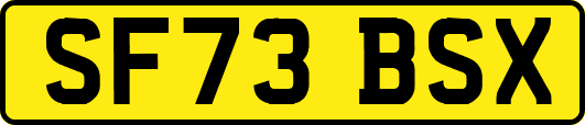 SF73BSX