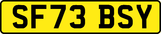 SF73BSY