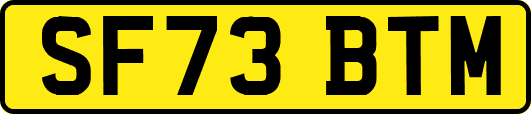 SF73BTM