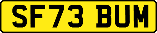 SF73BUM