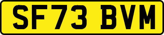 SF73BVM