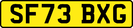 SF73BXG