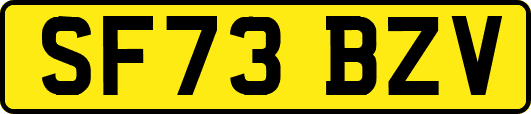 SF73BZV