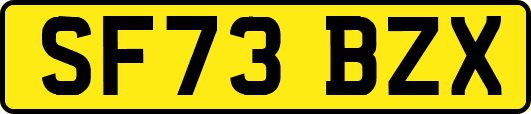 SF73BZX