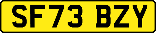 SF73BZY