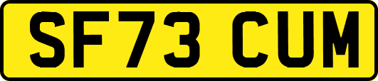 SF73CUM