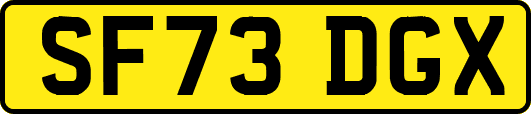 SF73DGX
