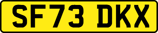 SF73DKX