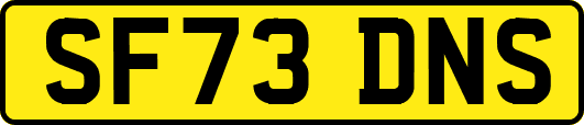 SF73DNS