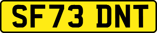 SF73DNT
