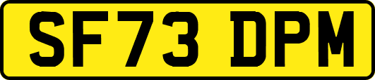 SF73DPM