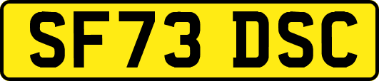 SF73DSC
