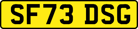 SF73DSG