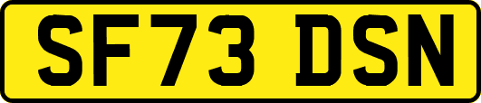 SF73DSN