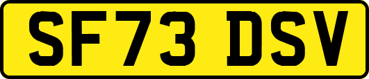 SF73DSV