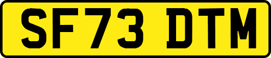 SF73DTM