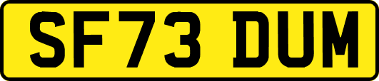 SF73DUM