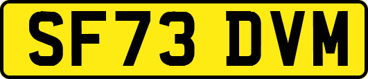 SF73DVM