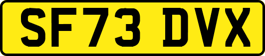 SF73DVX