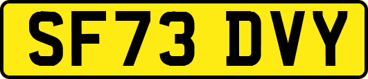 SF73DVY