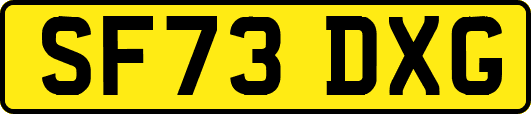 SF73DXG
