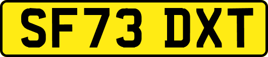 SF73DXT