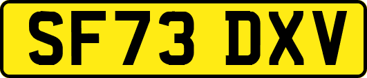 SF73DXV