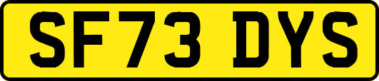 SF73DYS