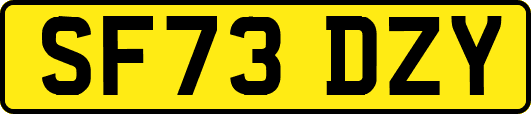 SF73DZY
