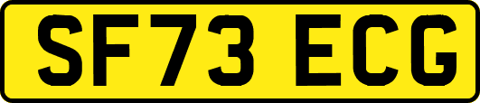 SF73ECG