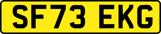 SF73EKG